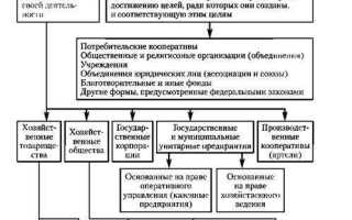 Какие классификации органов юридических лиц вы знаете