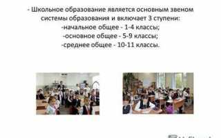 Из чего состоит система образования