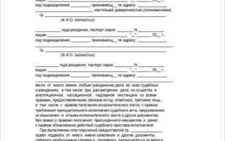 Сколько стоит доверенность на представление интересов в суде