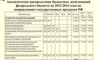Бюджетных ассигнований федерального бюджета что это