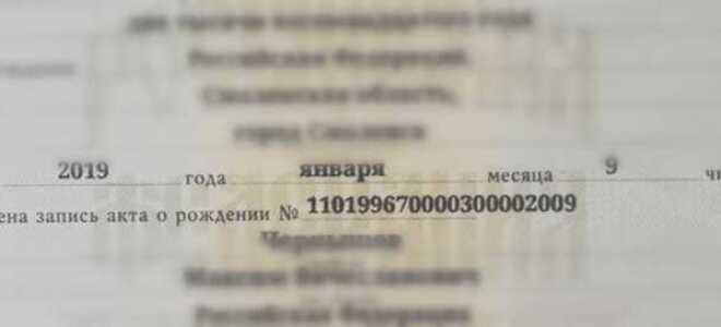 Сведения об актовой записи что это
