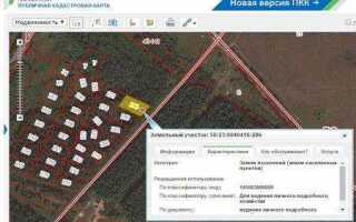 Как посмотреть ограничения на земельный участок на публичной карте