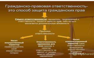 Вид ответственности когда собственник отвечает всем своим имуществом