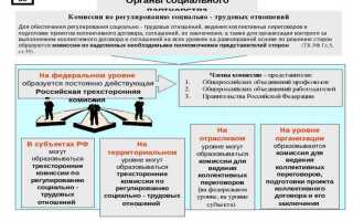 Какие органы социального партнерства в сфере труда предусмотрены тк рф