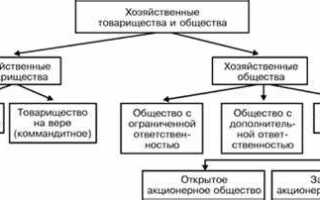 Какие существуют формы хозяйственных обществ