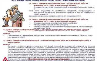 Кто в компании отвечает за реализацию под фт