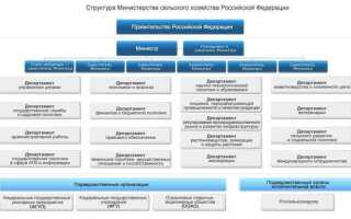 Кто организует работу правительства рф
