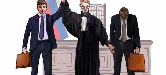 Юрист для частного бизнеса и власти кто это