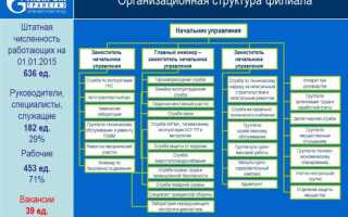 Пао что это за форма организации