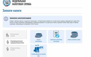 Как оплатить задолженность по налогам частями