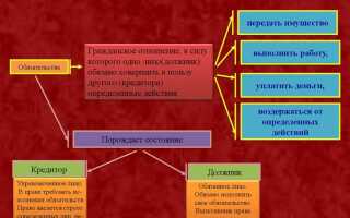 Чем отвечает ип по своим обязательствам
