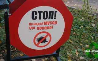 Какой штраф за выброс строительного мусора