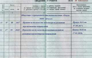 Как заполнить сведения о трудовой деятельности при увольнении