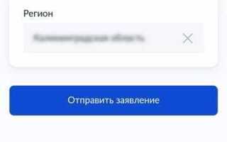 Как оформить инвалидность через госуслуги пошаговая инструкция