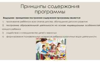 Что включает в себя образовательная программа
