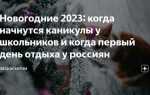 Сколько дней до нового года 2023