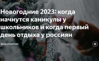 Сколько дней до нового года 2023