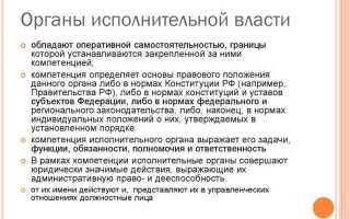 Какие органы относятся к органам исполнительной власти
