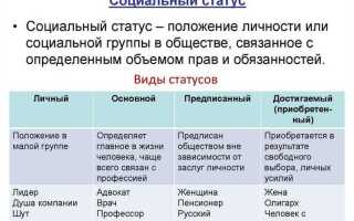 Что такое статус представителя в заявлении