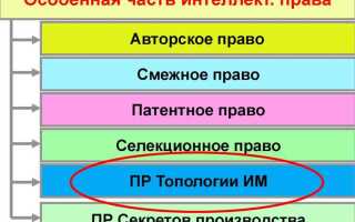 Что в гк рф понимается под топологией интегральной микросхемы