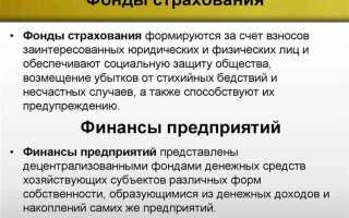 Какие виды пособий выдает фонд социального страхования