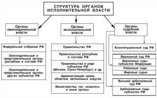 Какой федеральный орган исполнительной власти рф осуществляет функции по противодействию легализации