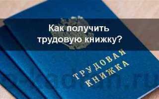 Как оформить трудовую книжку впервые