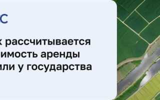 Сколько стоит аренда земли у государства цена