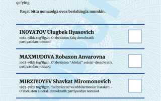 Какие документы нужны для голосования на выборах