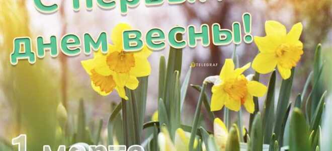 Что изменилось с 1 марта