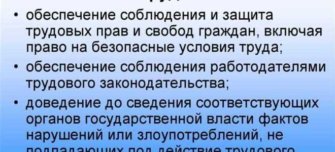 Что такое федеральная инспекция труда