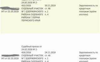 Как списать долги с господдержкой через мфц
