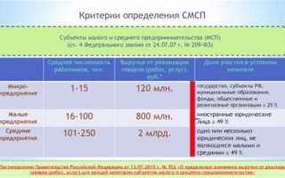 Размер предприятия микро малое среднее как определить