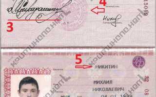 Какие паспортные данные нужны для договора