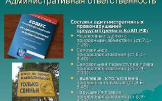 Какая ответственность предусмотрена за нарушение законодательства в области охраны окружающей среды