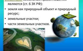 В чем суть земельного закона