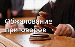 Сколько раз можно подавать апелляцию на решение суда