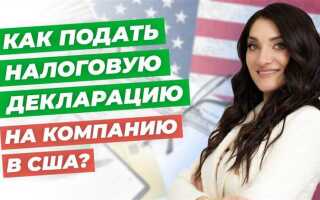 Как попасть на практику в налоговую