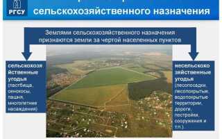 Как узнать категорию земельного участка