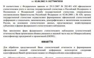 Идентификационный номер обособленного подразделения статистика как узнать