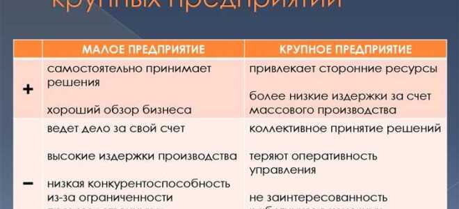 Чем отличается малый бизнес от среднего