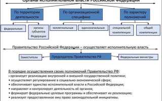 Распоряжением какого органа исполнительной власти утверждается форма документов жилищного учета