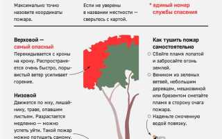Какие существуют этапы локализации лесного пожара