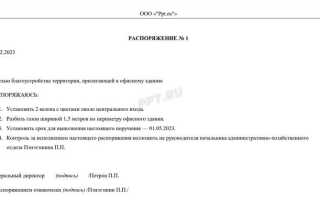Как оформить распоряжение руководителя образец