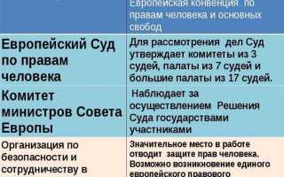 В какие международные органы можно обратиться за защитой своих прав