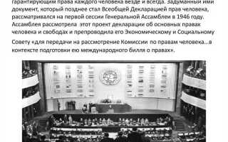 Когда была принята всеобщая декларация прав человека