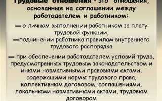 Какой характер носят трудовые отношения