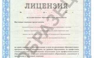 Какая лицензия выдается в качестве принудительной