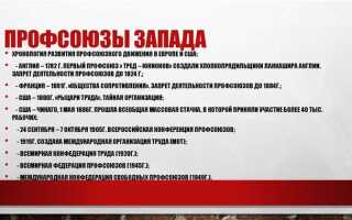 Какие задачи решают профсоюзы и первичные профсоюзные организации