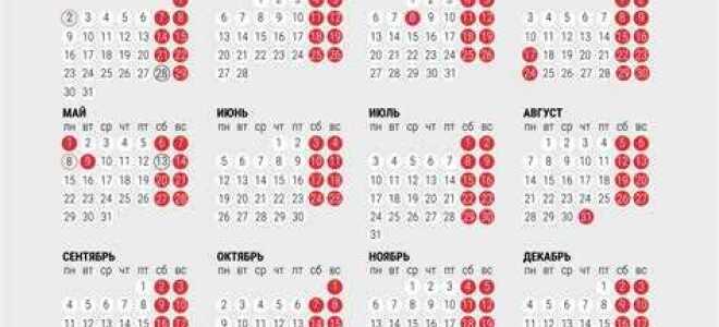 Почему 24 февраля 2023 года выходной день